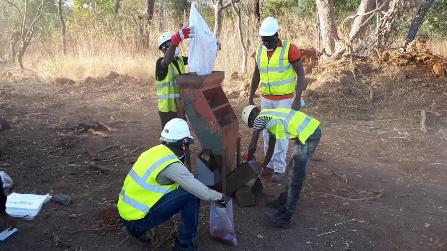 Field crew collecting and bagging samples on the Sikasso Property