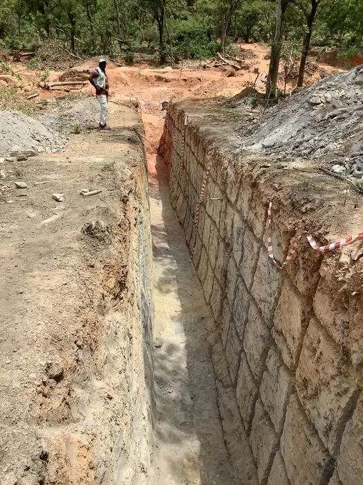 Mapped trench wall exposing near-surface mineralization